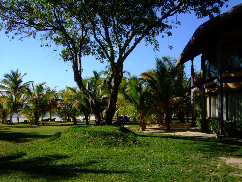Mauritius 2010 - 0068 